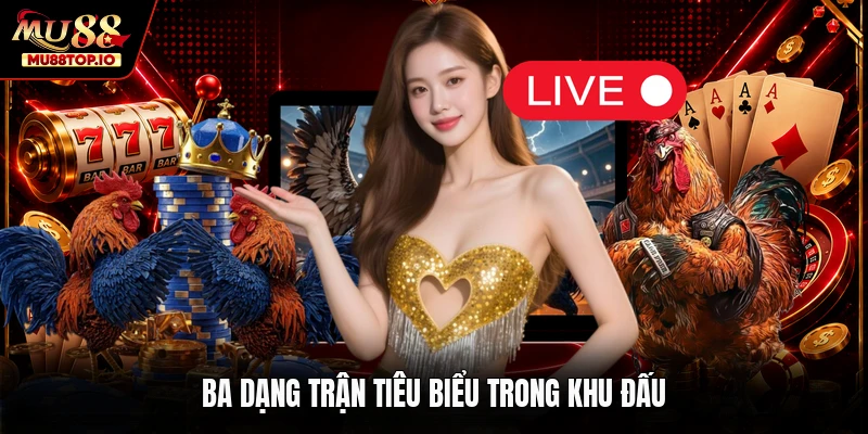 Ba dạng trận tiêu biểu trong khu đấu