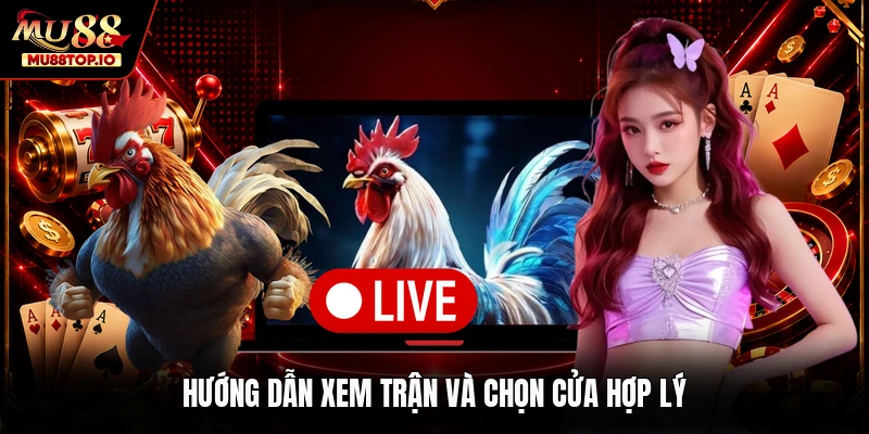 Hướng dẫn xem trận và chọn cửa hợp lý